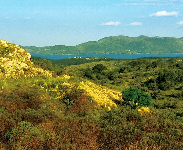 EXCLUSIVAS CHACRAS CON VISTAS AL LAGO